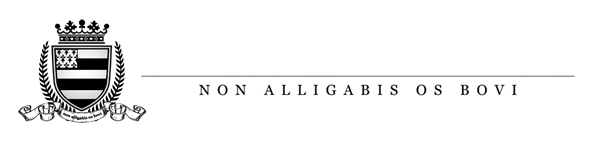 New Saint Thomas Institute